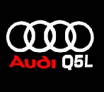 Audi Welcome Light Door Projection Welcome Light Car LOGO Laser Light for Audi