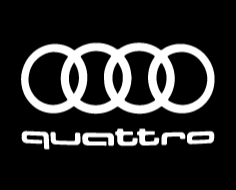 Audi Welcome Light Door Projection Welcome Light Car LOGO Laser Light for Audi