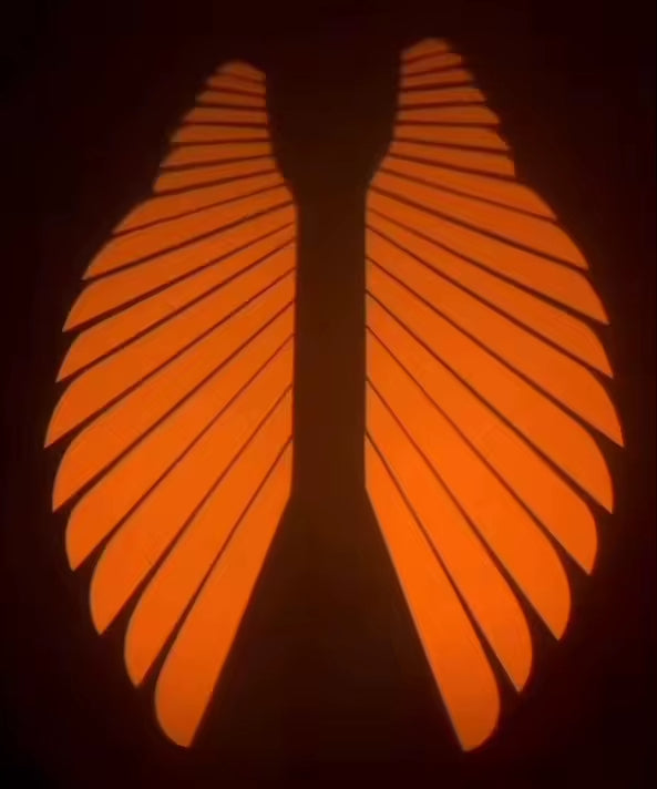 Motorcycle Projection Angel Wing Decorative Motorcycle Modification Accessories Led Angle Wing Lights for Motorcycle