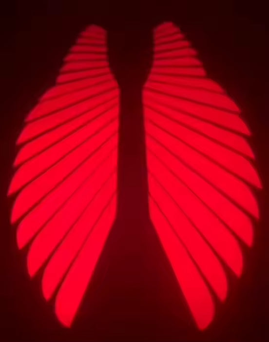 Motorcycle Projection Angel Wing Decorative Motorcycle Modification Accessories Led Angle Wing Lights for Motorcycle